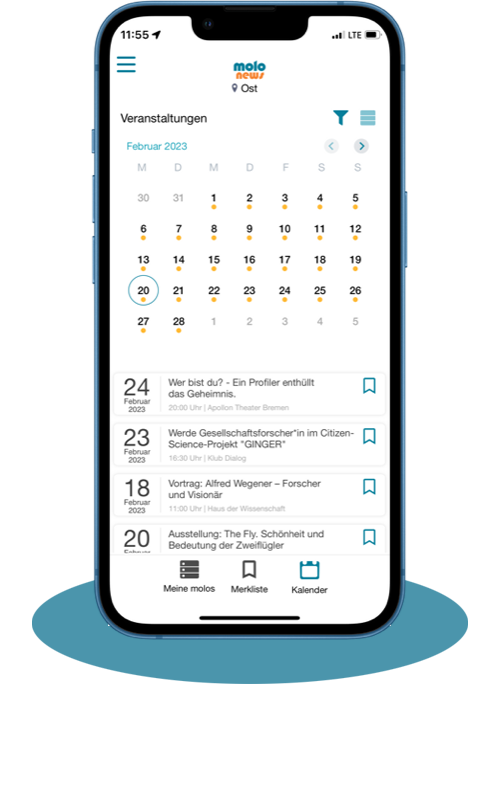molo-Kalender